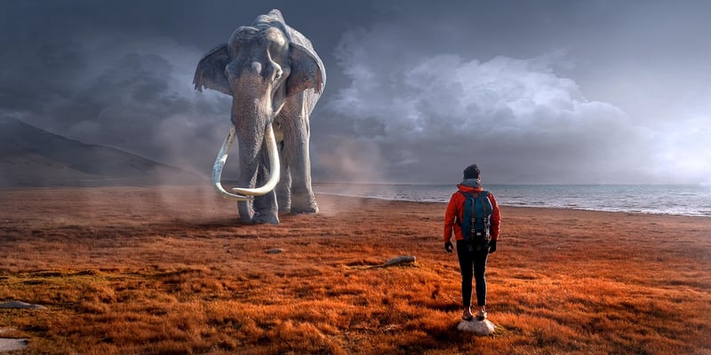 Mystic Encounters